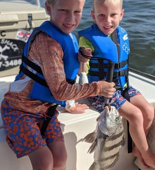 Black Drum Caught by Young Anglers